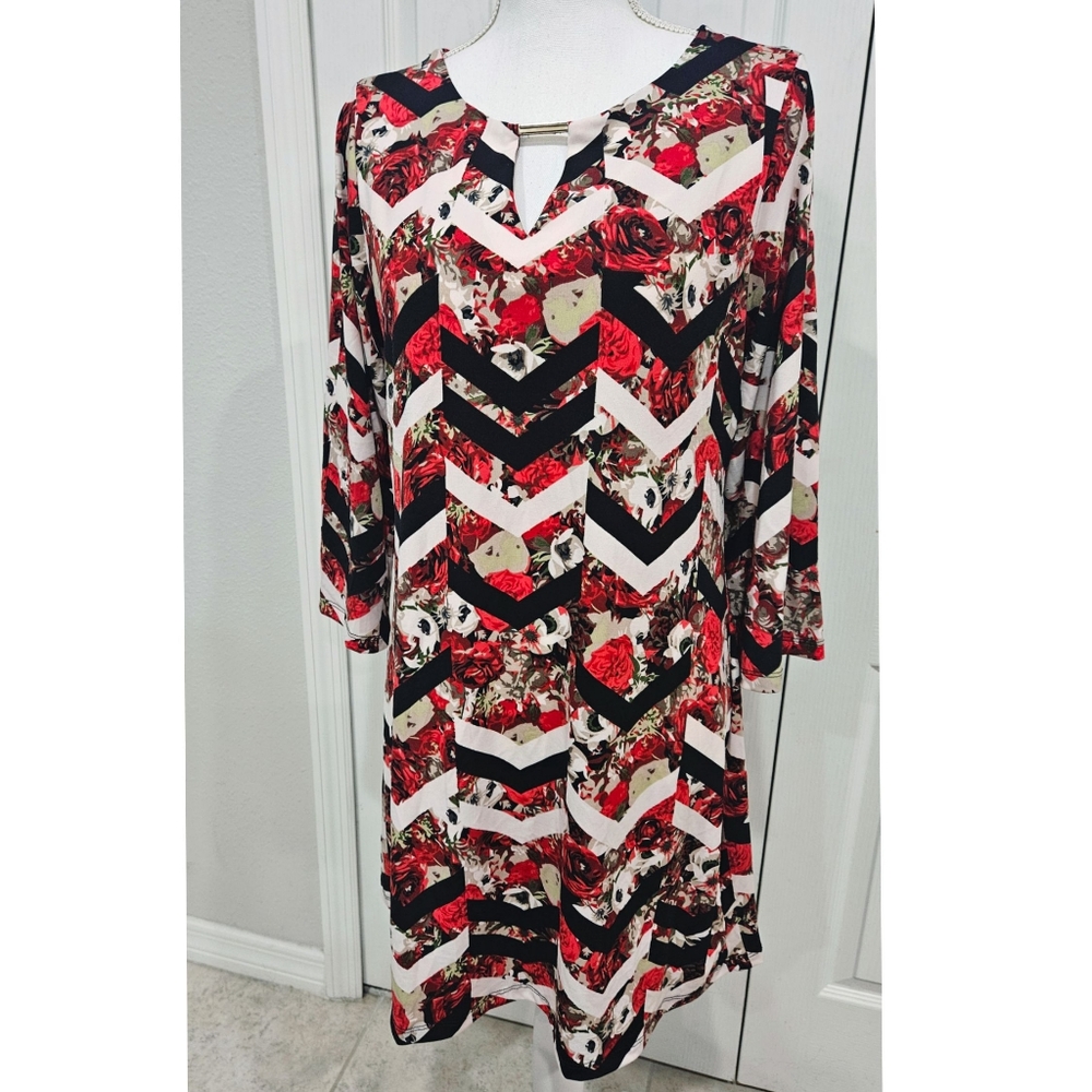 🌹HAANI rose chevron shift dress SZ LP